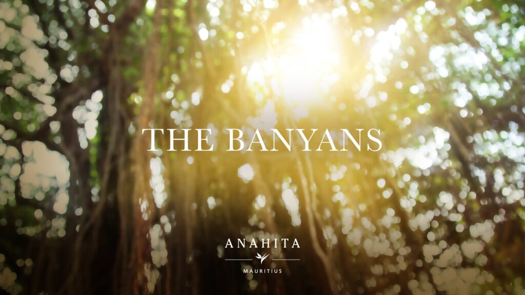 thumbnail of Anahita Mauritius – The Banyans – FR – 11